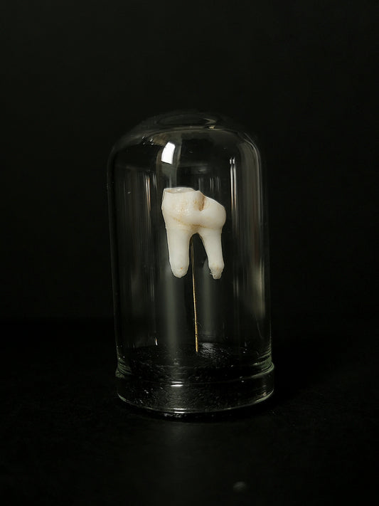 Small tooth dome
