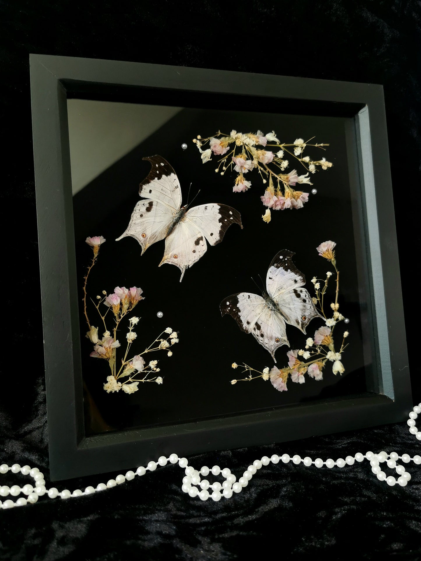 Forest Mother-of-pearl butterflies frame with dried flowers