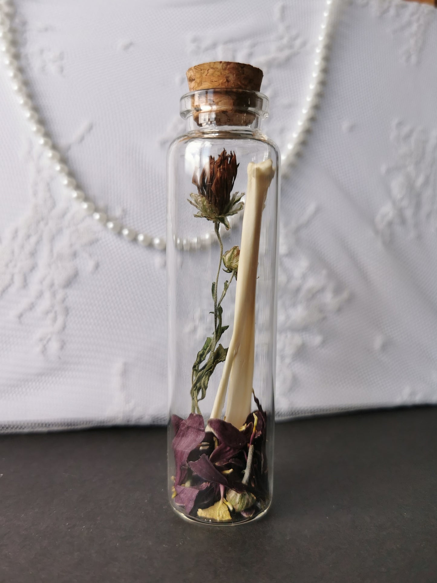 Curiosity bottle set