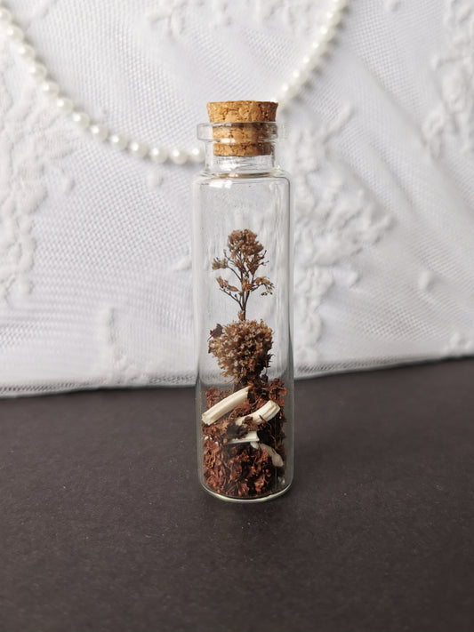 Small curiosity bottle