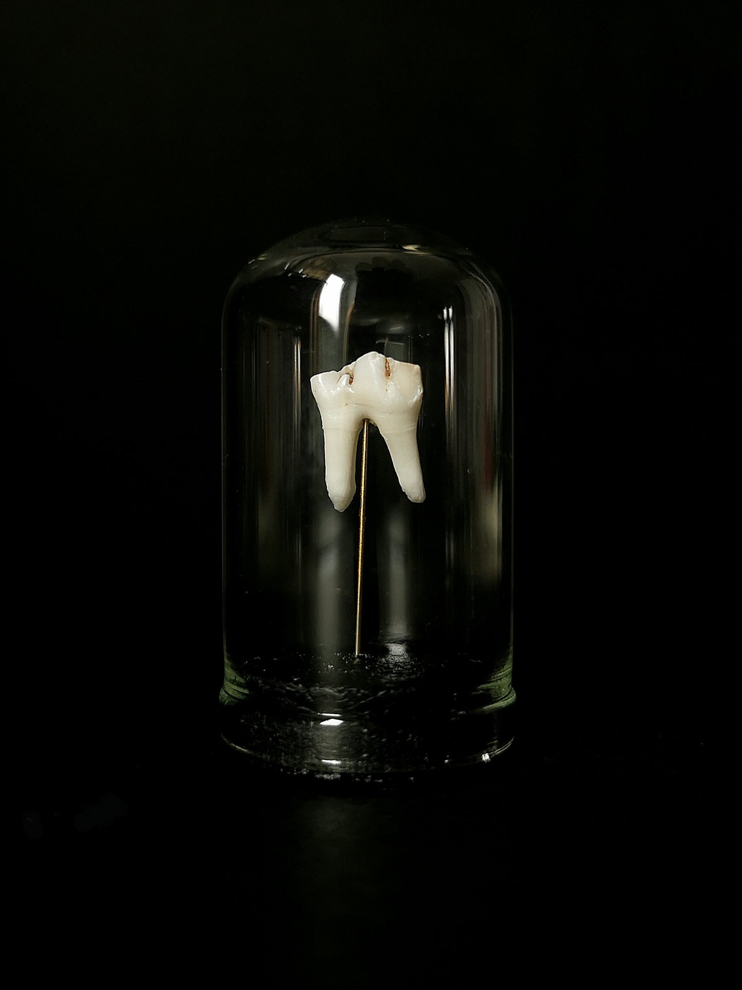 Small tooth dome