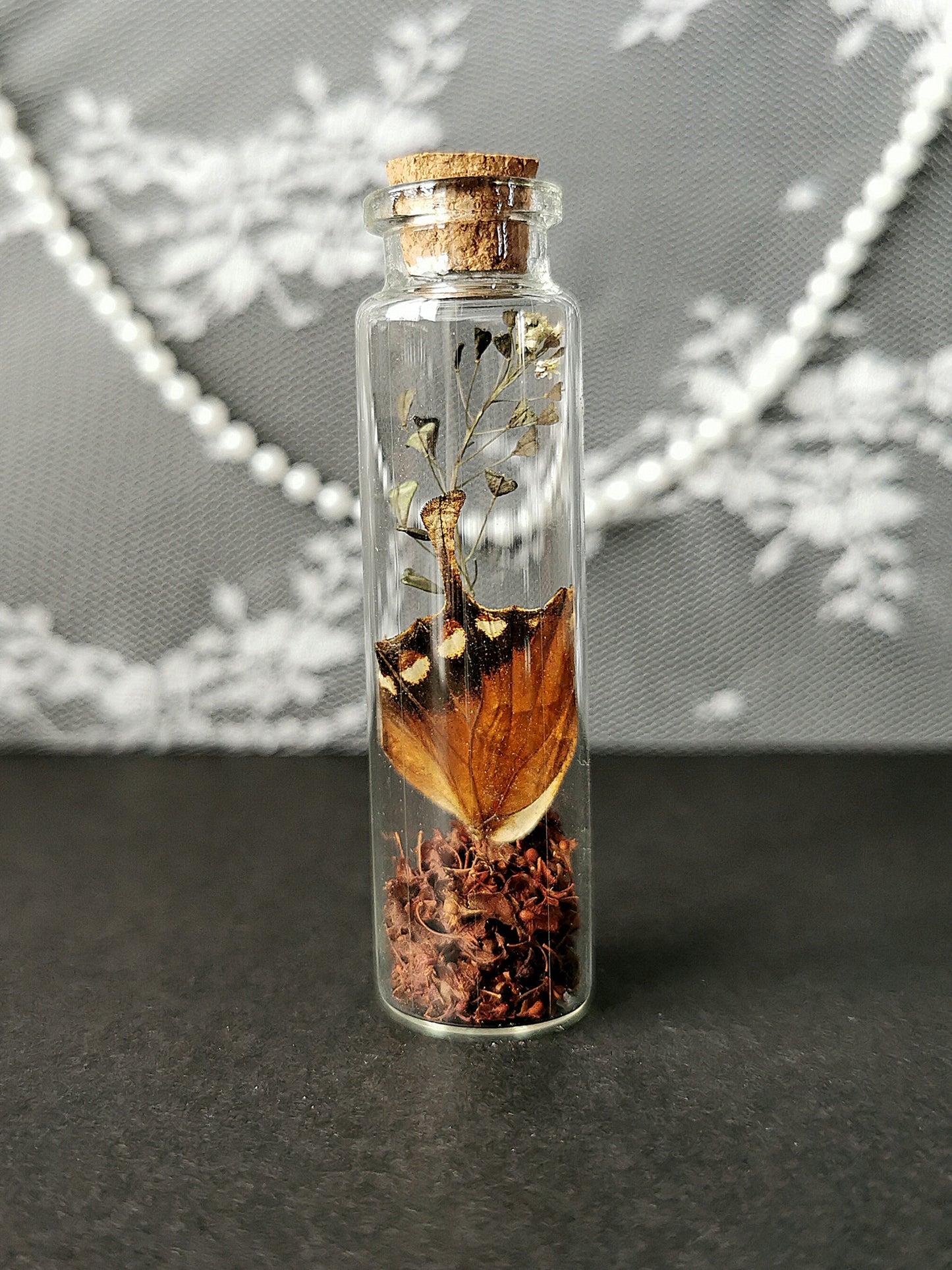 Small curiosity bottle