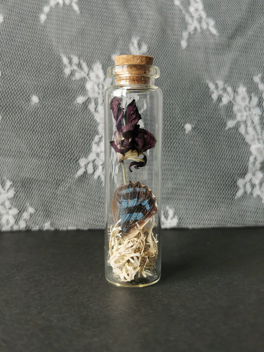 Small curiosity bottle