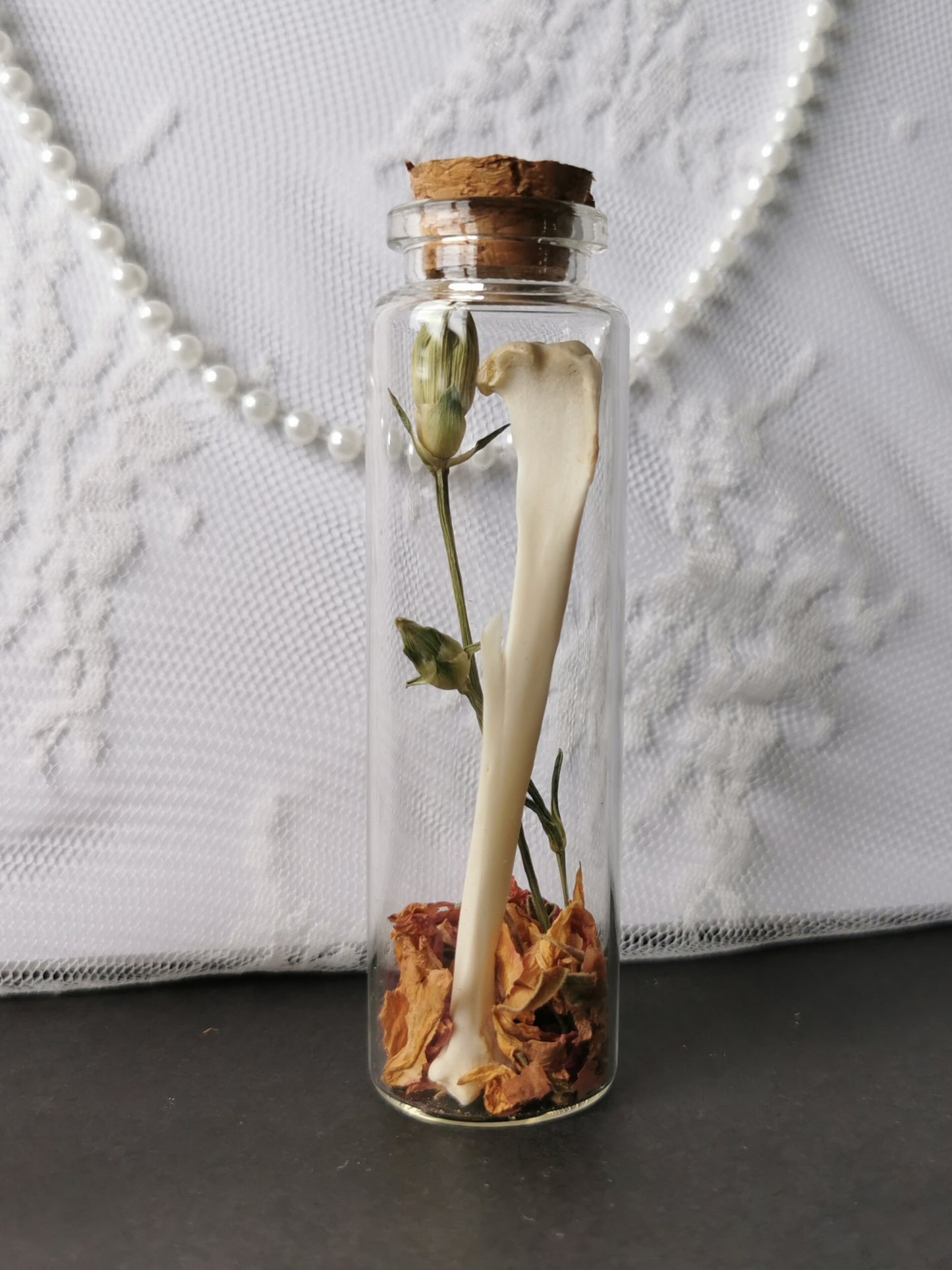Curiosity bottle set