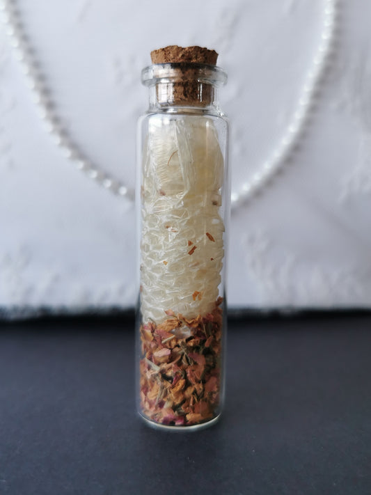 Small curiosity bottle