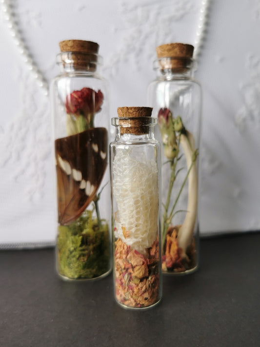 Curiosity bottle set