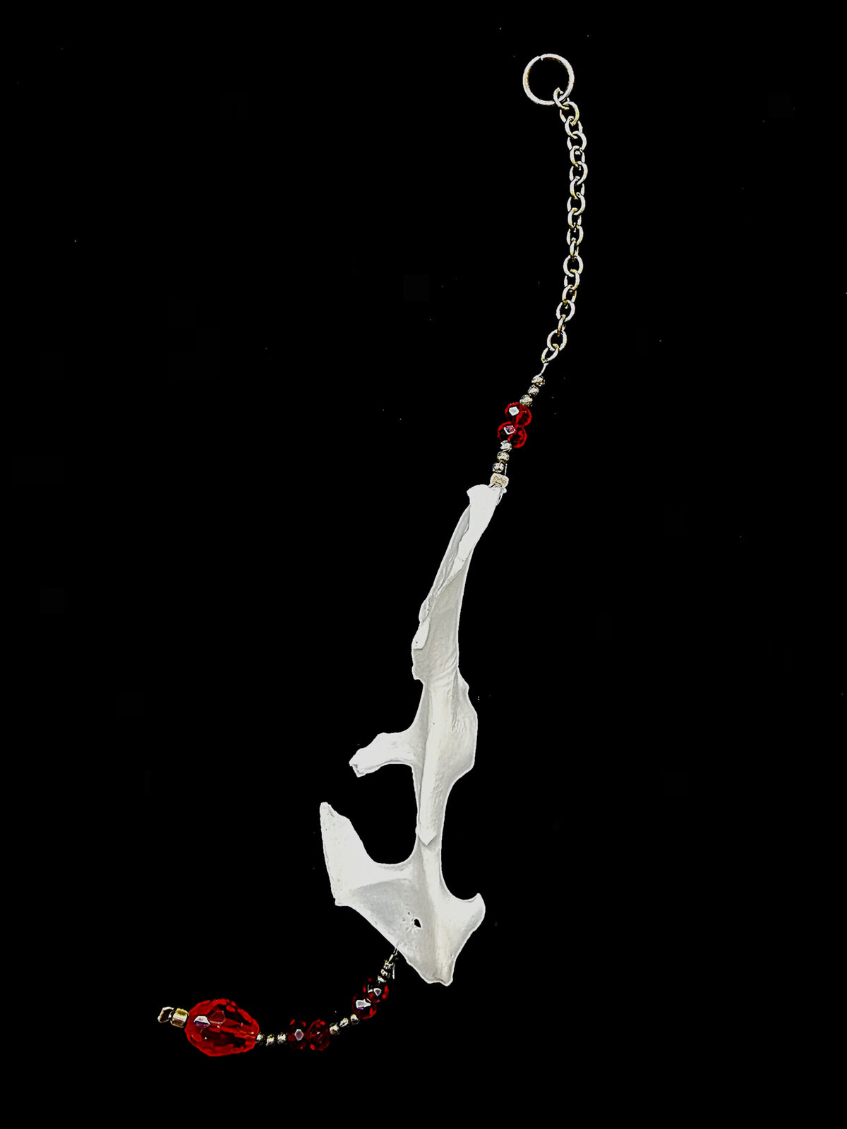 Rabbit pelvis suncatcher