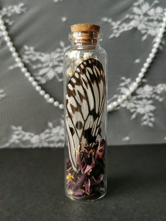 Large curiosity bottle