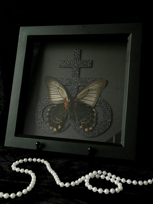 Great Mormon butterfly frame with glitter Leviathon cross