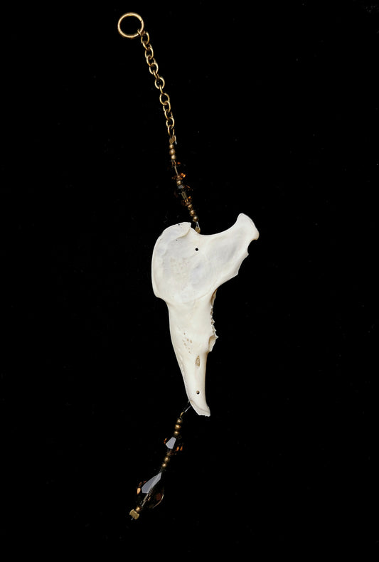 Rabbit jawbone suncatcher