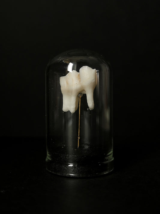 Small tooth dome