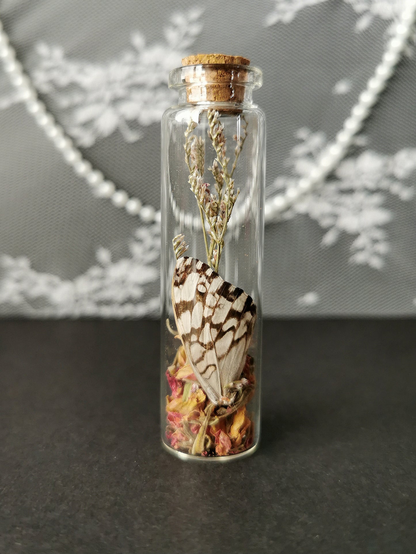 Small curiosity bottle