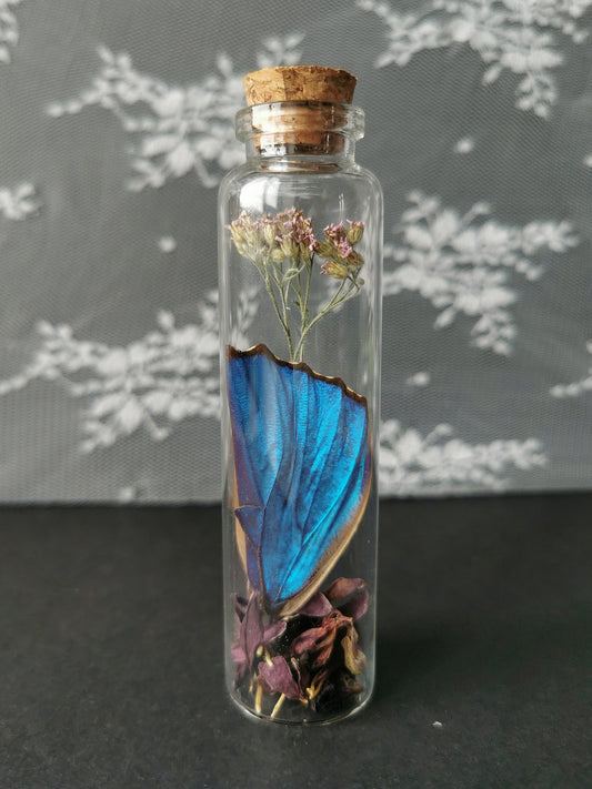 Large curiosity bottle