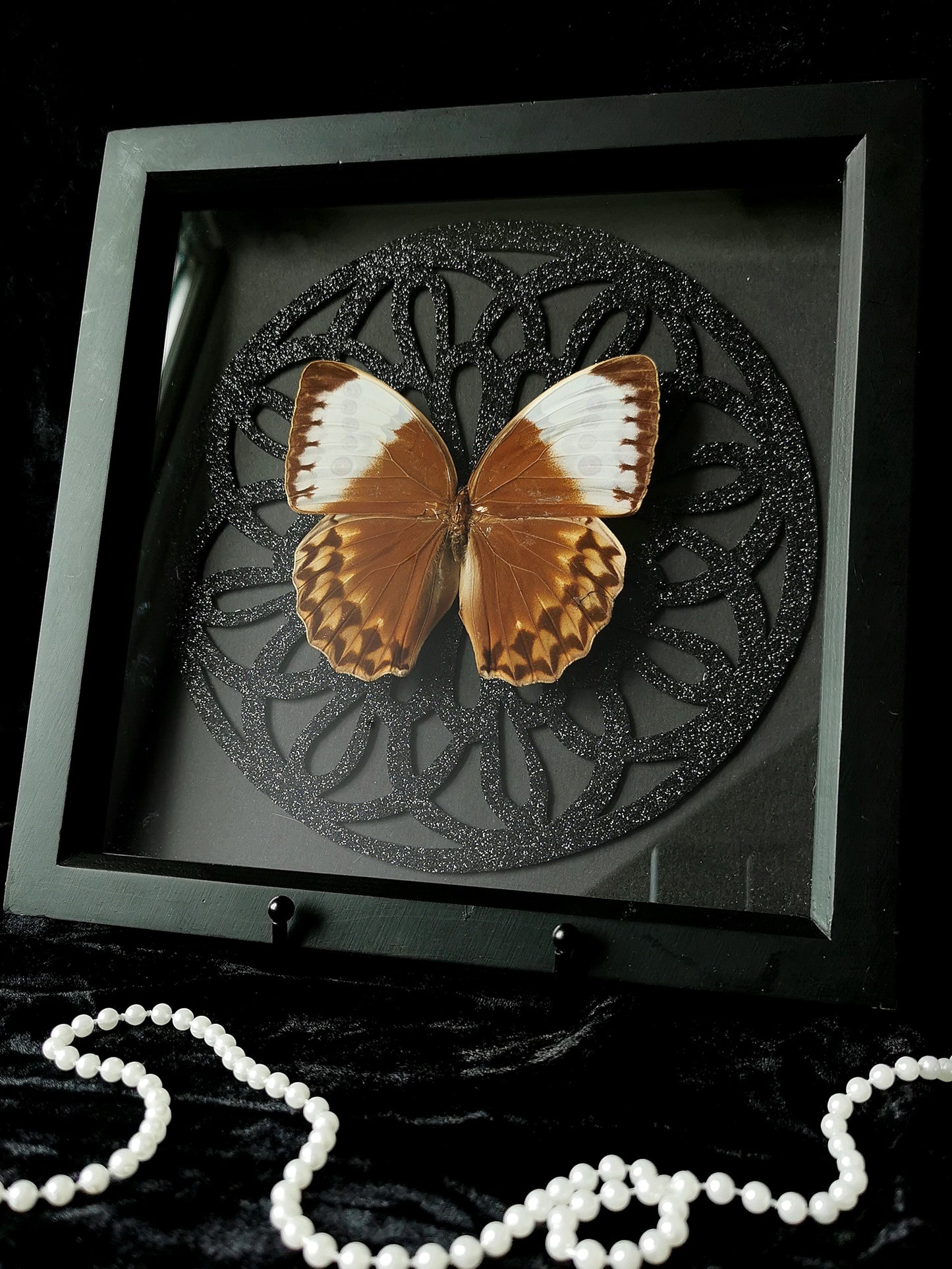 Jungle queen butterfly frame with glitter gothic circle window