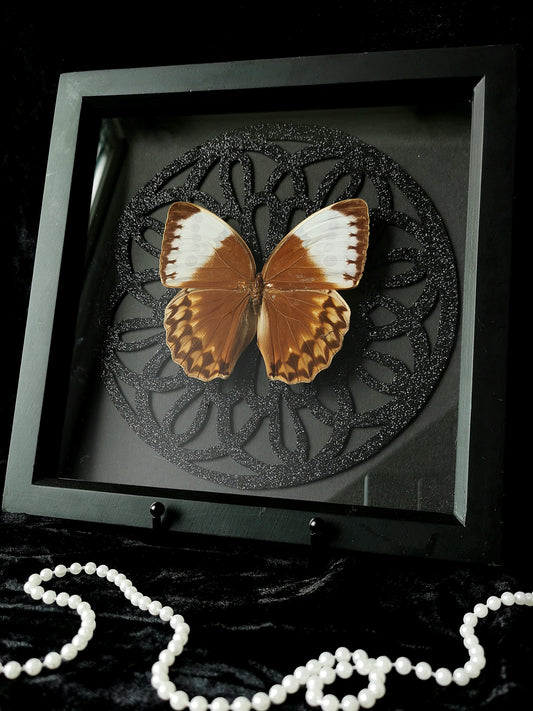 Jungle queen butterfly frame with glitter gothic circle window