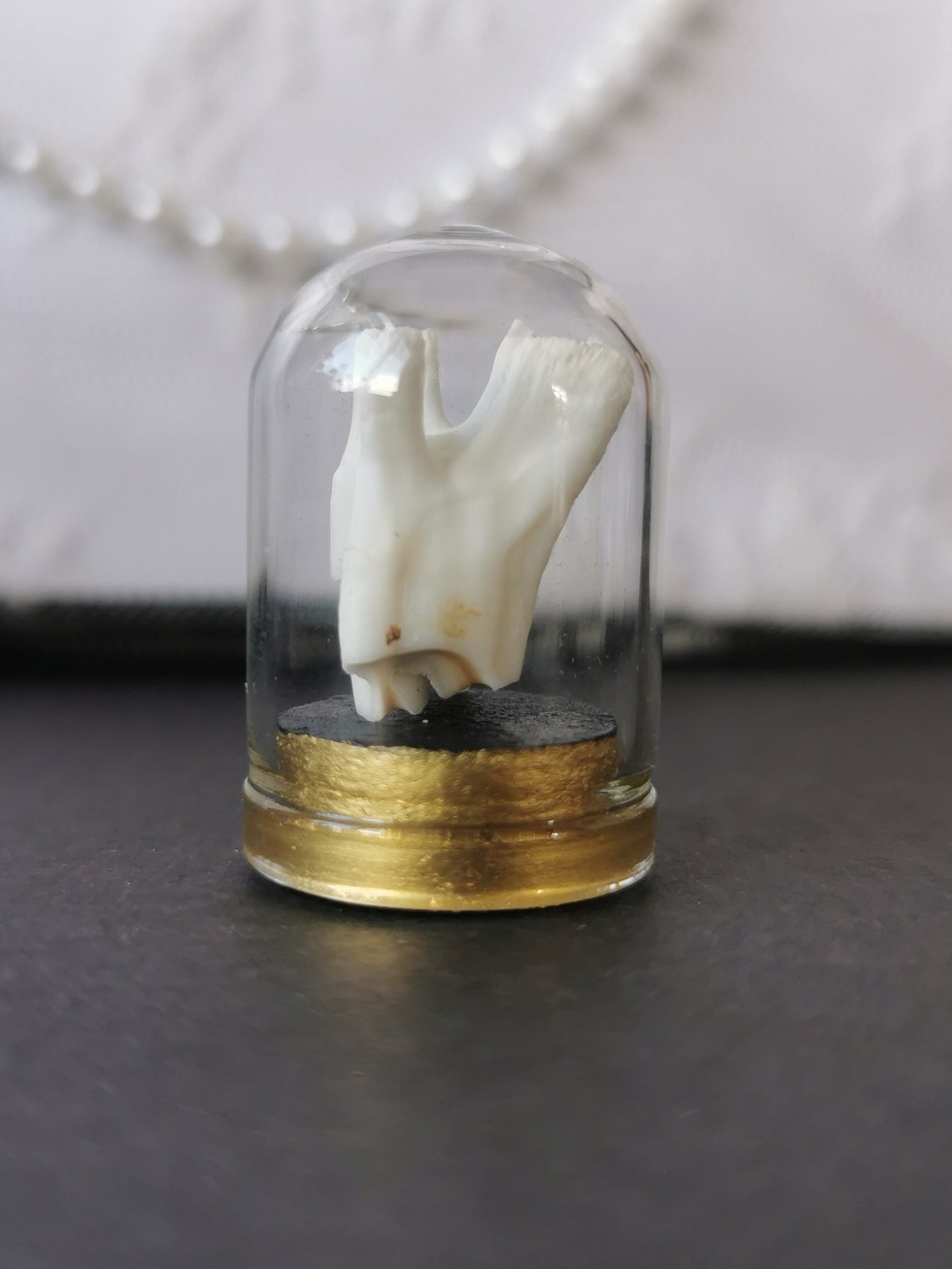 Small tooth dome