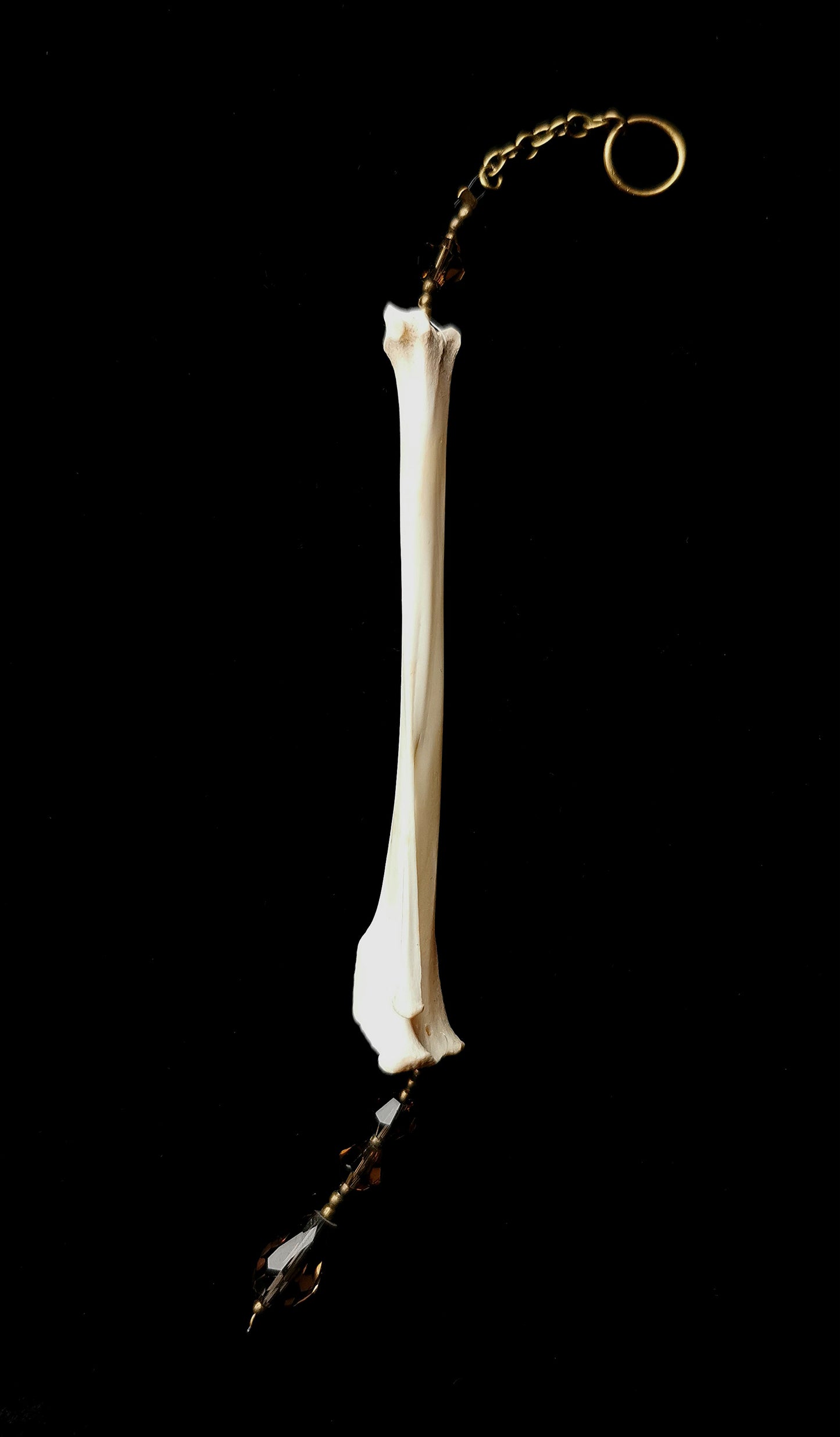 Rabbit tibia suncatcher