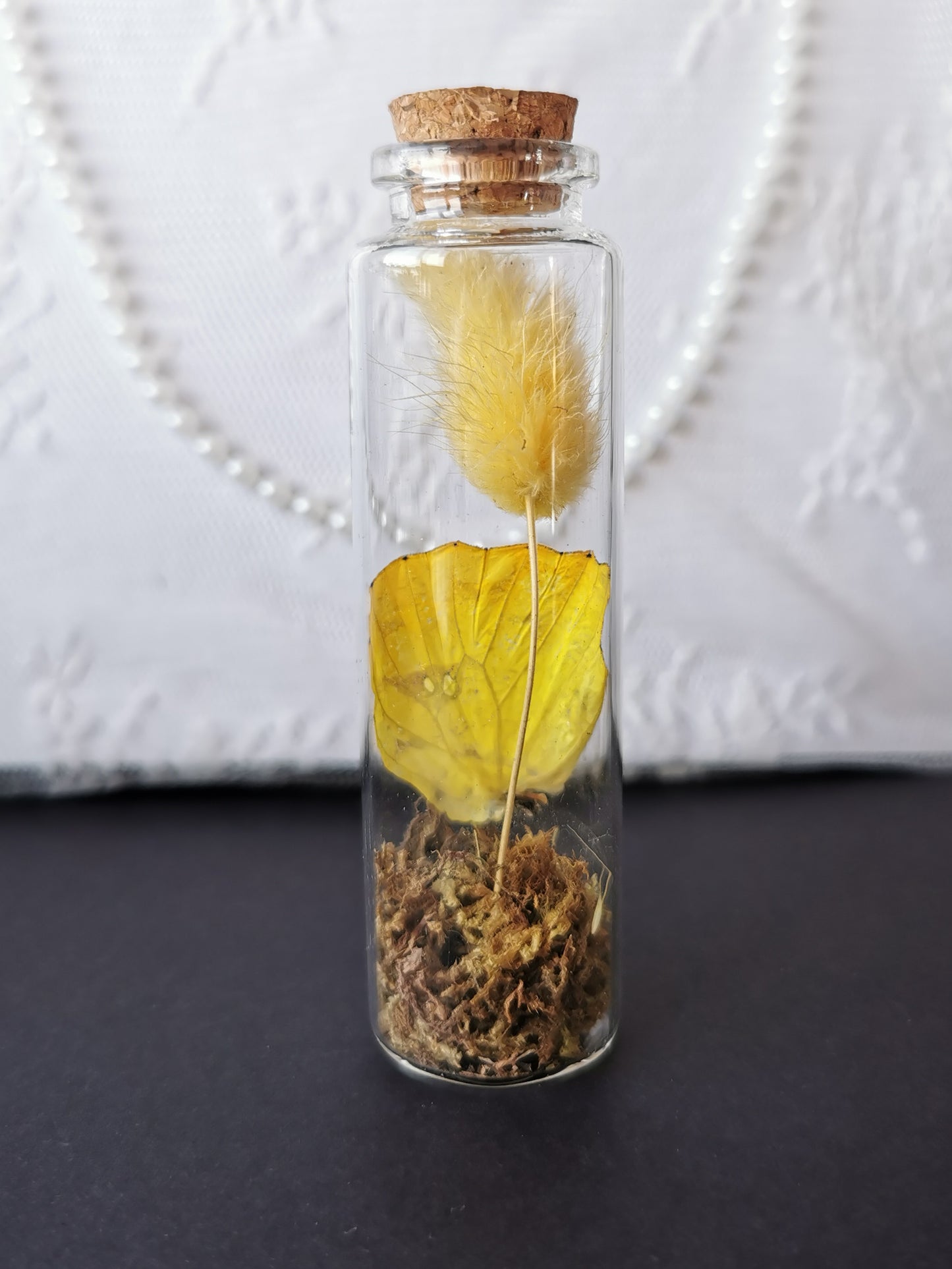 Large curiosity bottle
