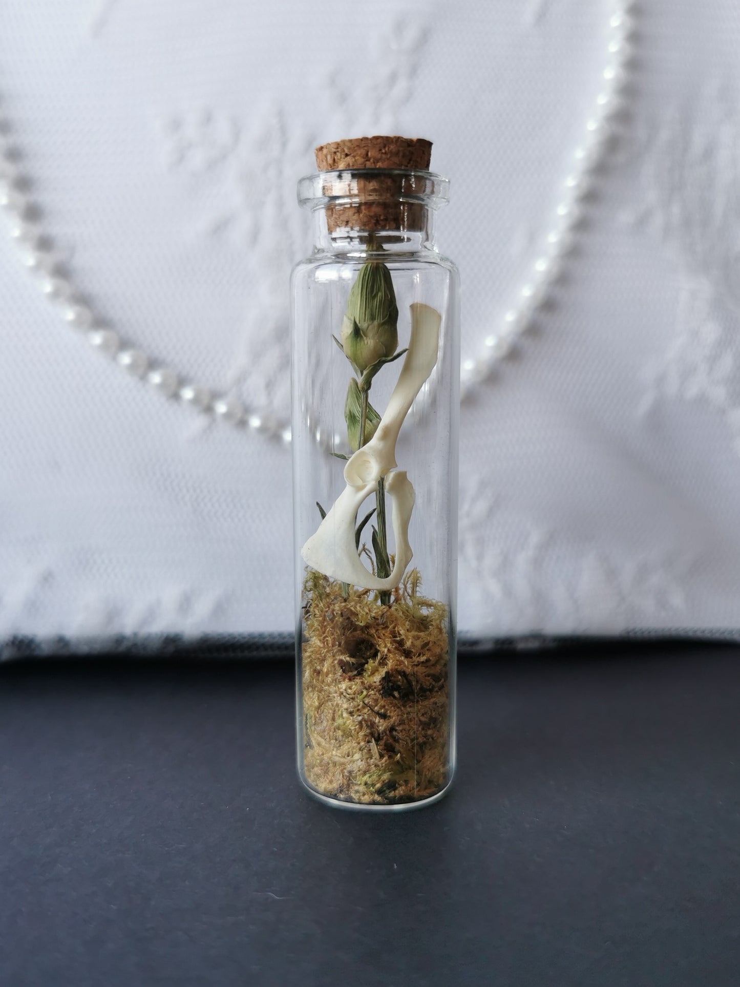 Small curiosity bottle