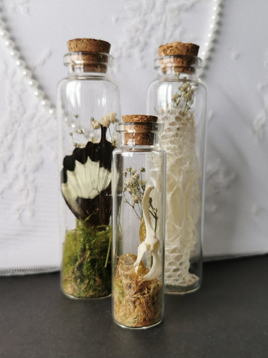 Curiosity bottle set