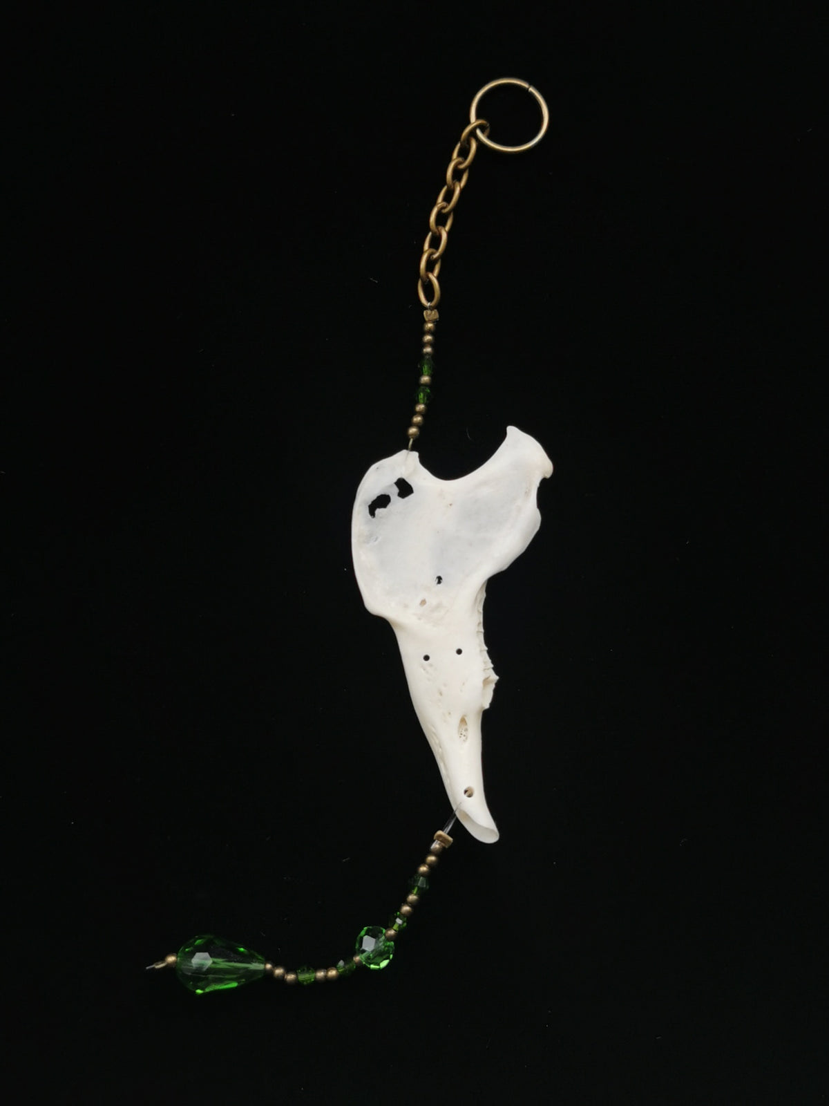Rabbit jawbone suncatcher