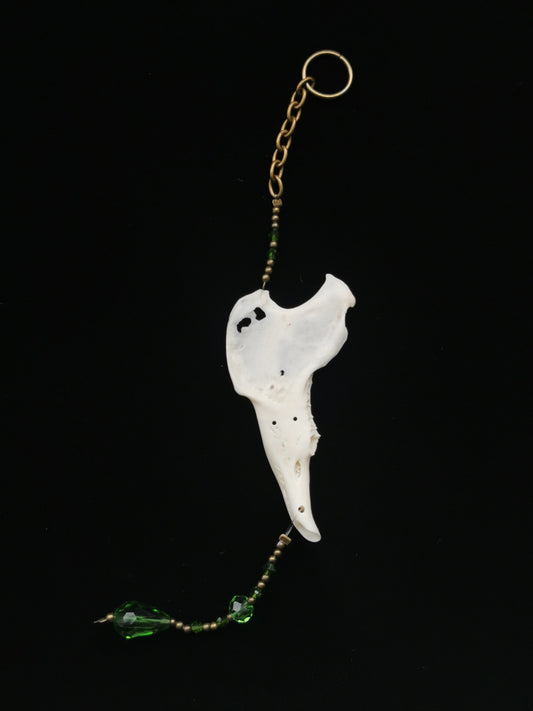 Rabbit jawbone suncatcher