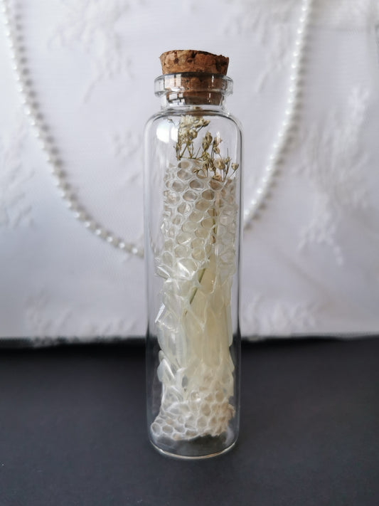 Large curiosity bottle