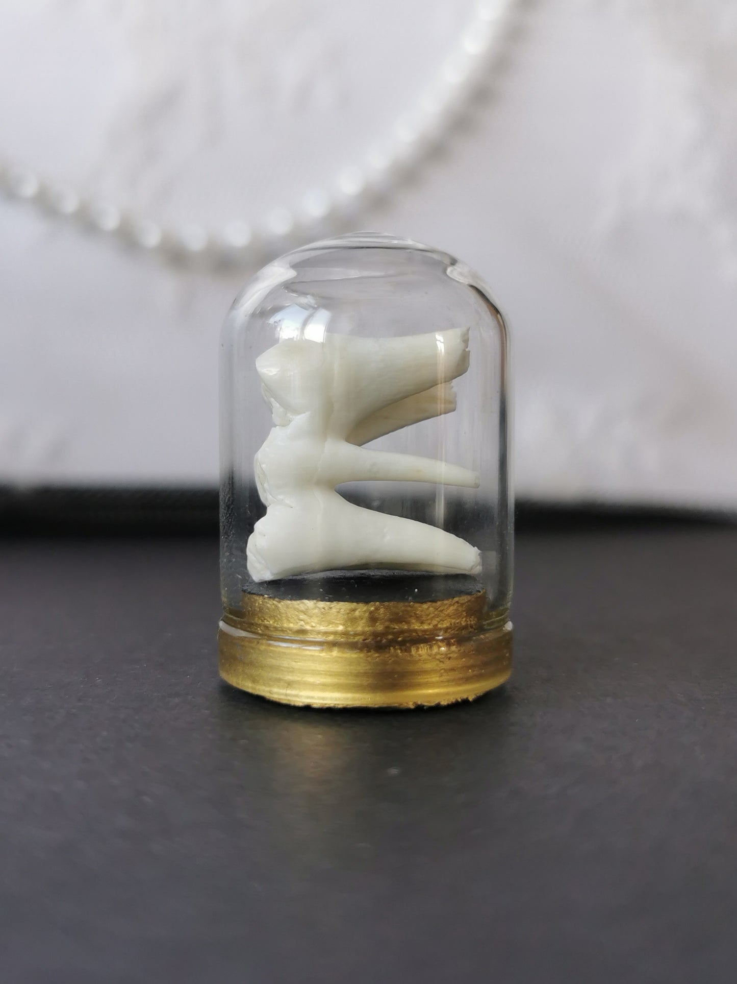 Small tooth dome
