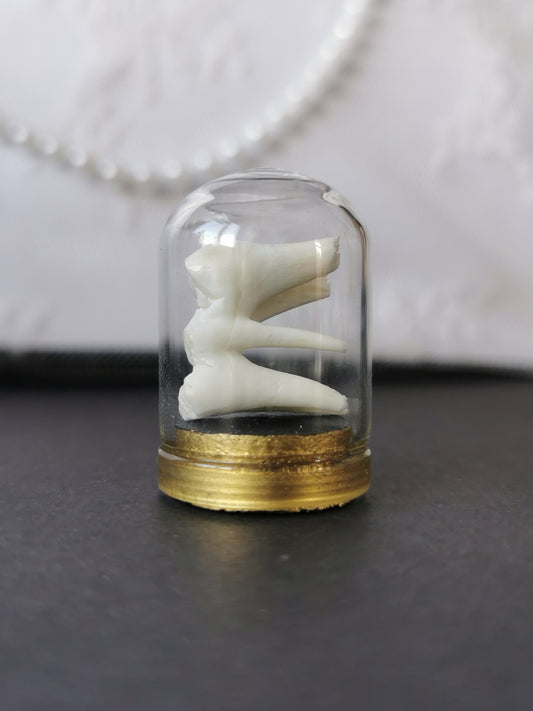 Small tooth dome