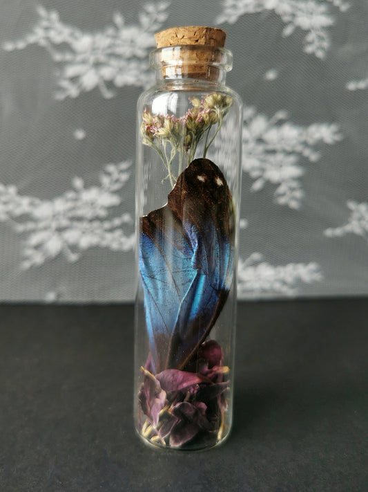 Large curiosity bottle