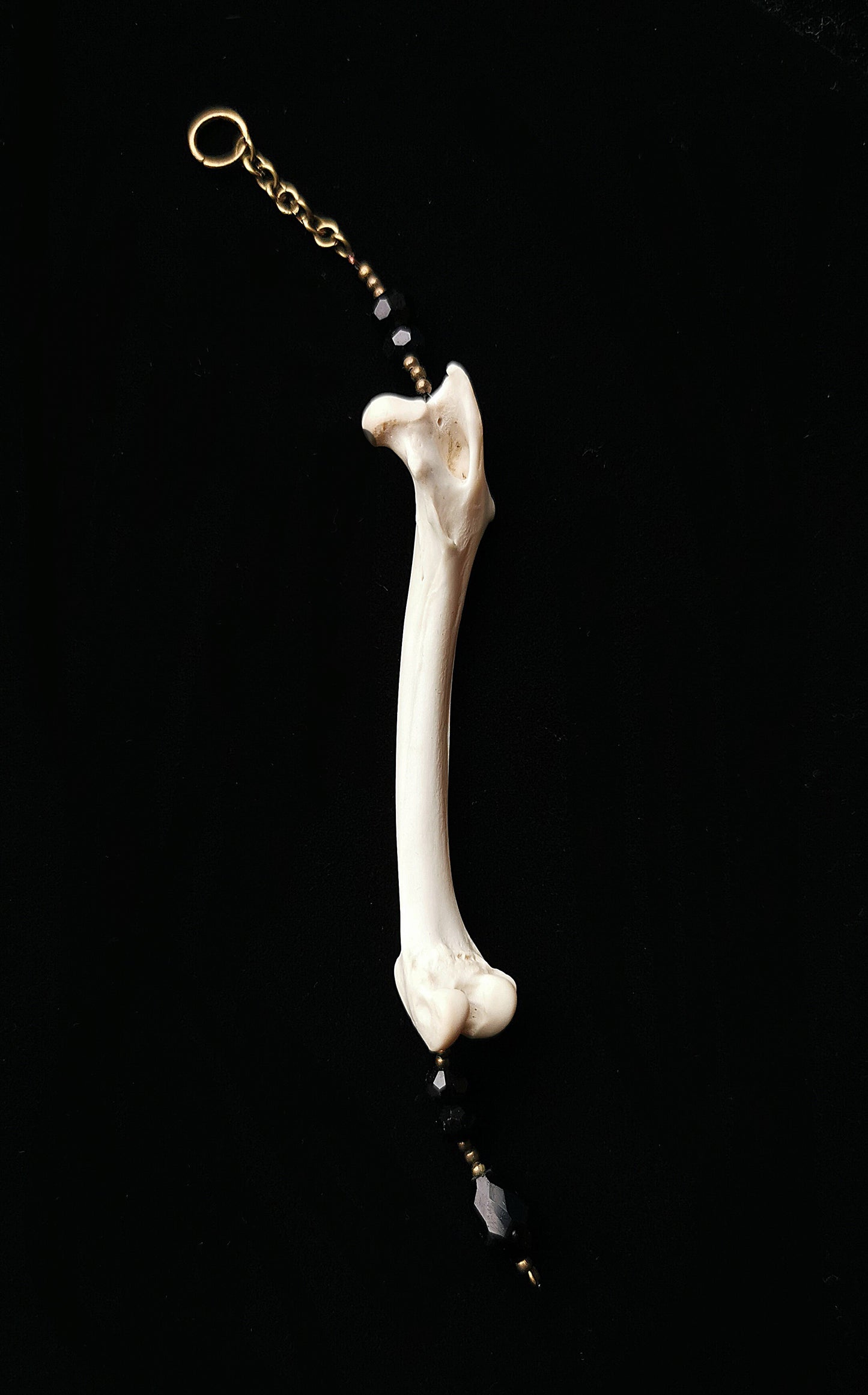 Rabbit humerus suncatcher