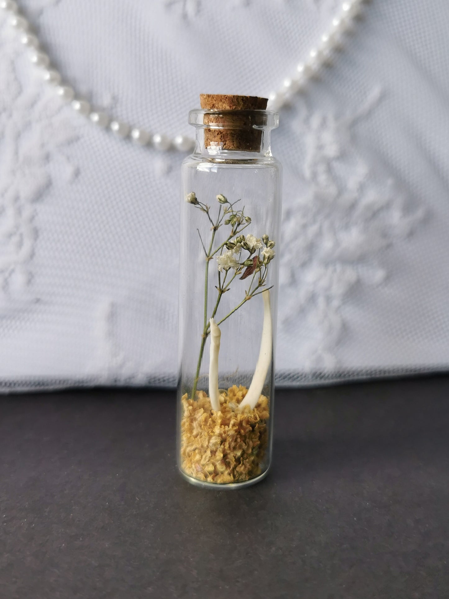 Curiosity bottle set
