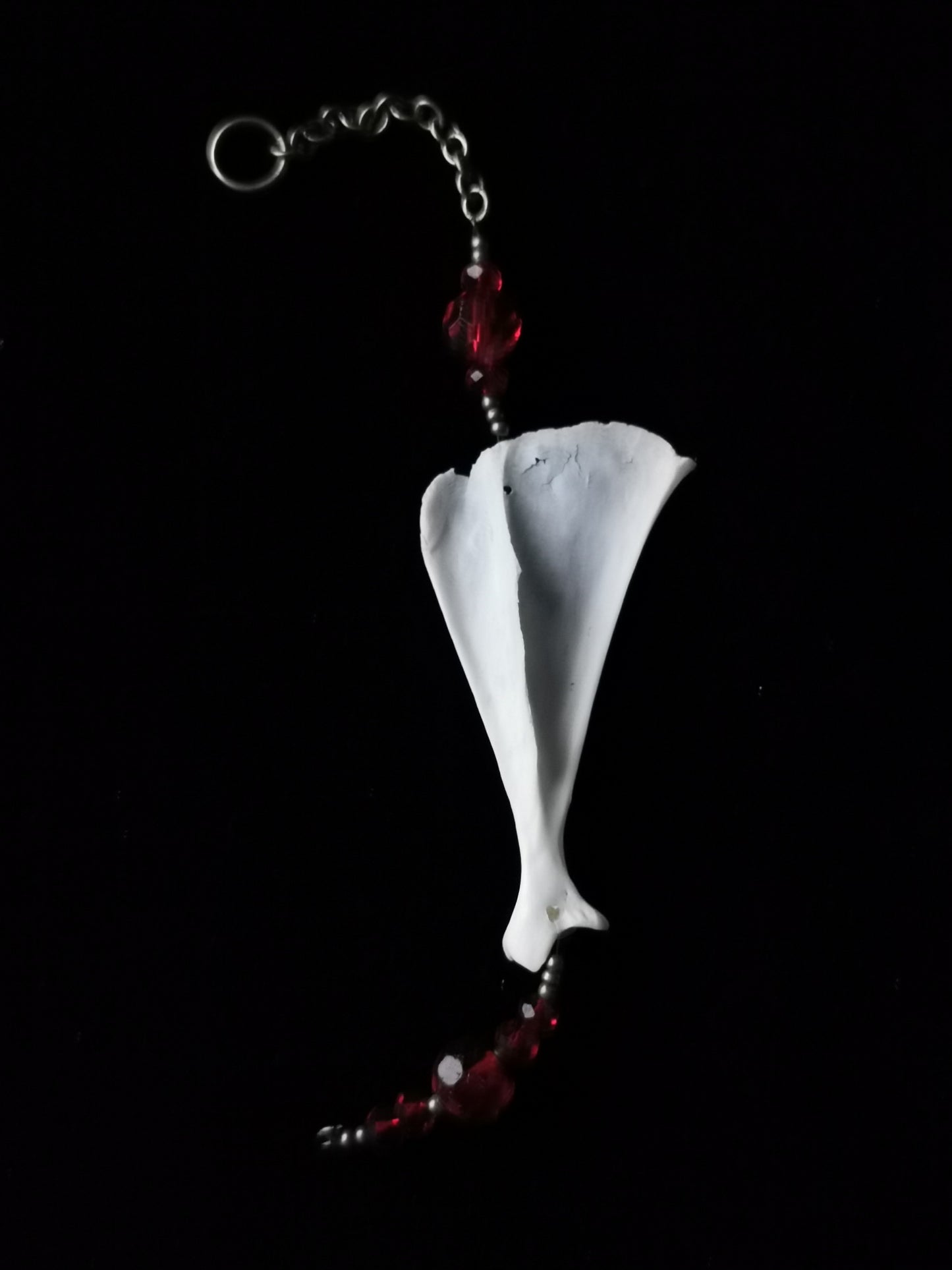 Rabbit scapula suncatcher