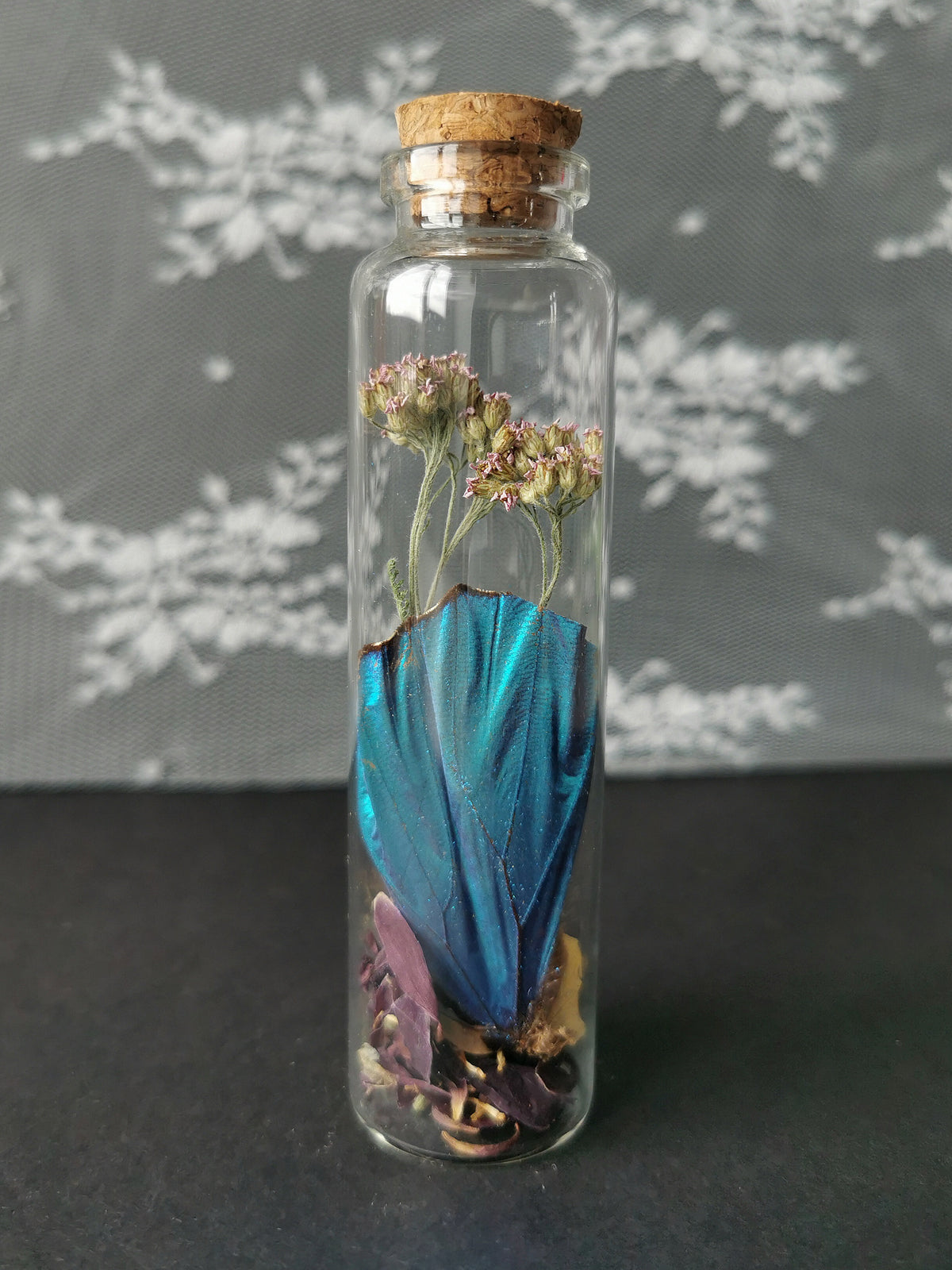 Large curiosity bottle
