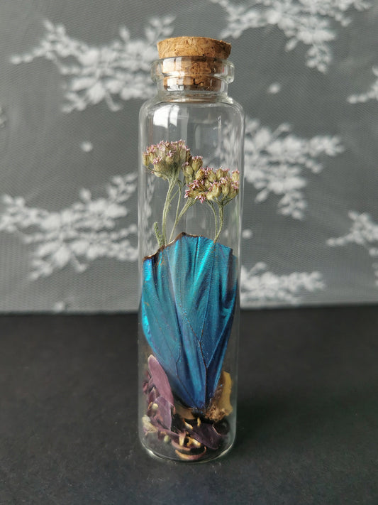 Large curiosity bottle