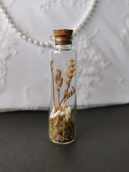 Small curiosity bottle