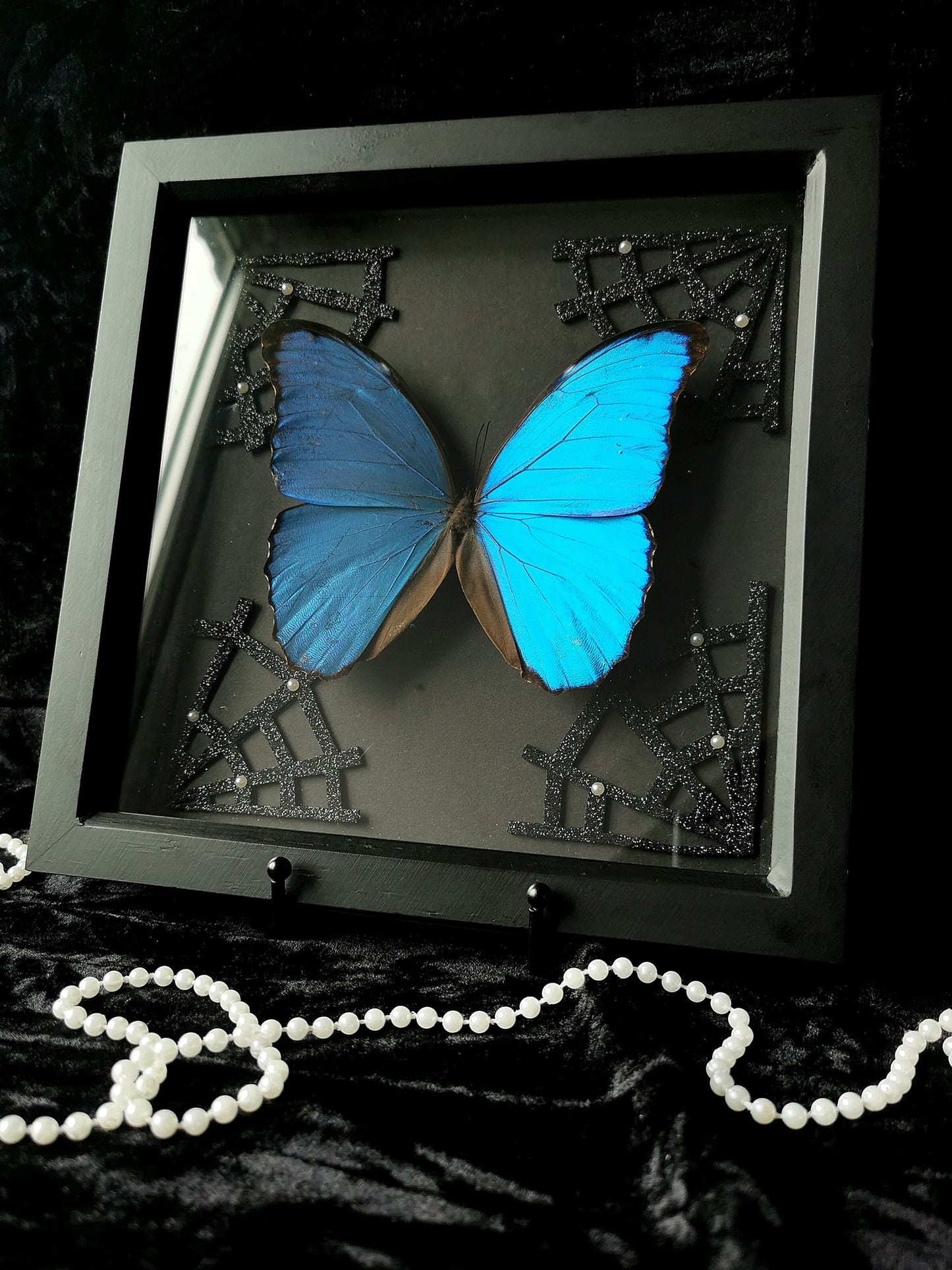 Blue Morpho butterfly frame with glitter web corners and pearls