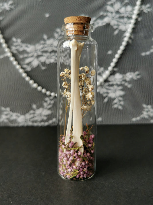 Large curiosity bottle