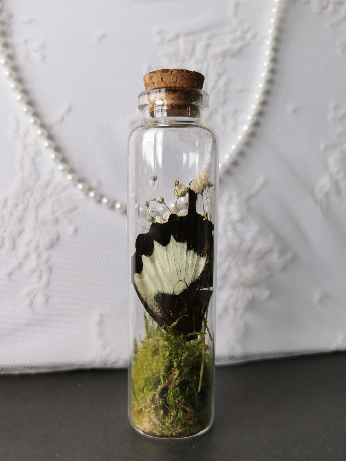 Curiosity bottle set