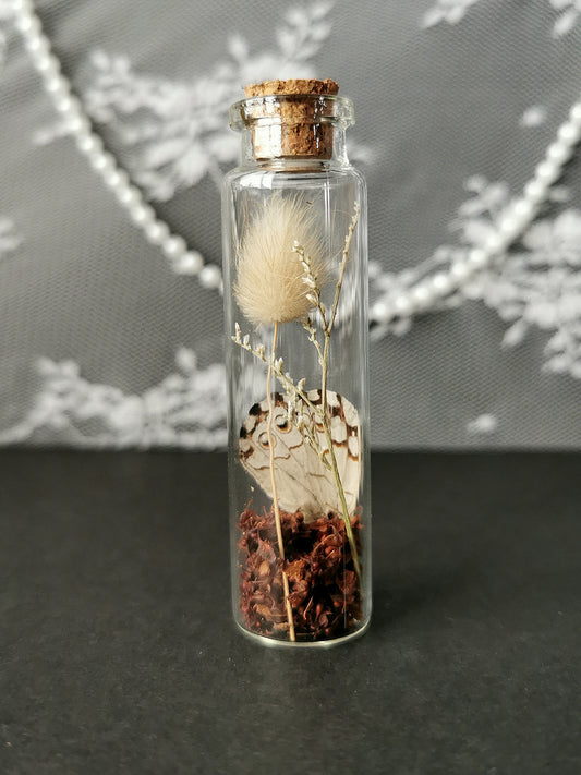 Small curiosity bottle