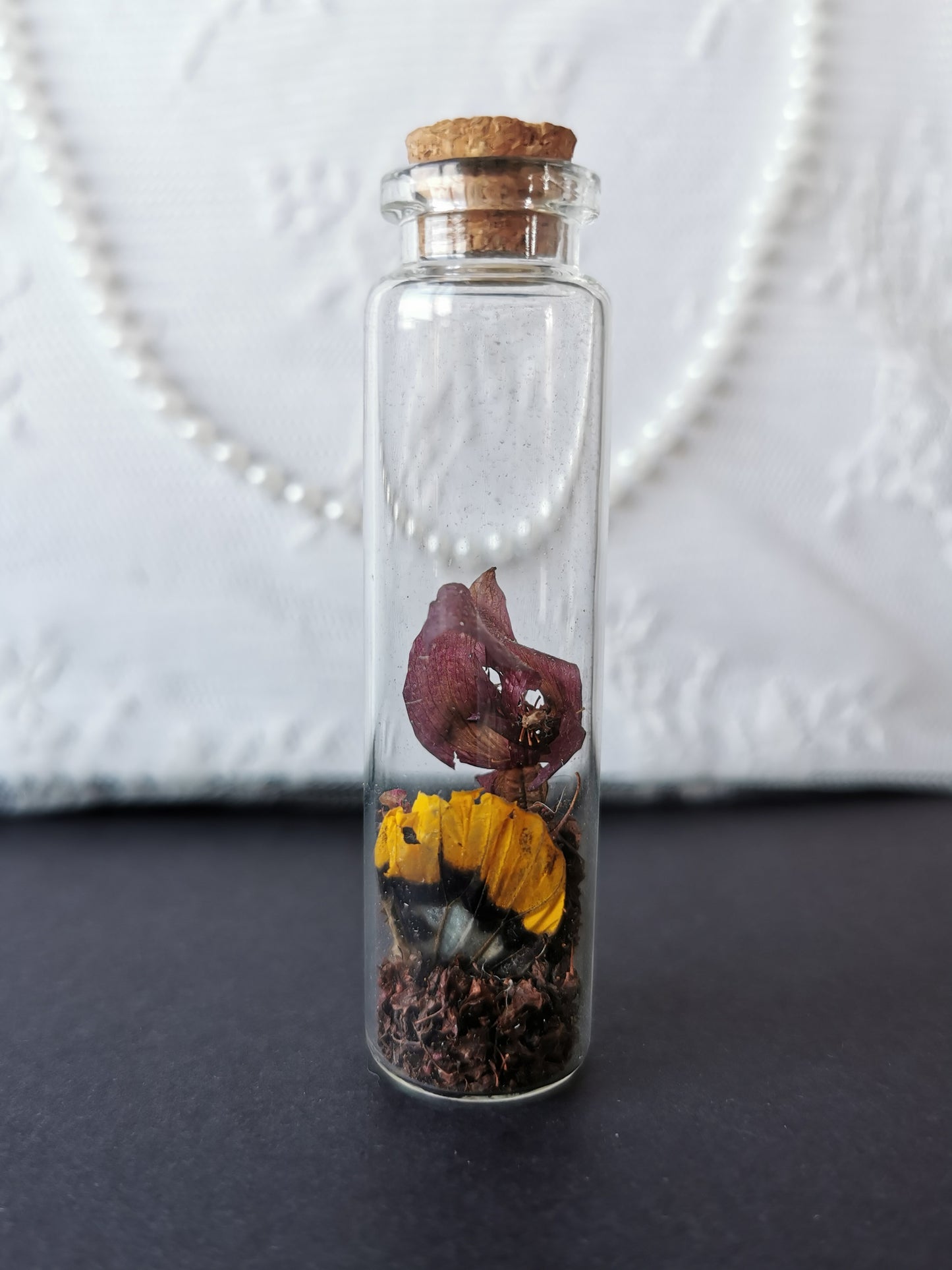 Small curiosity bottle