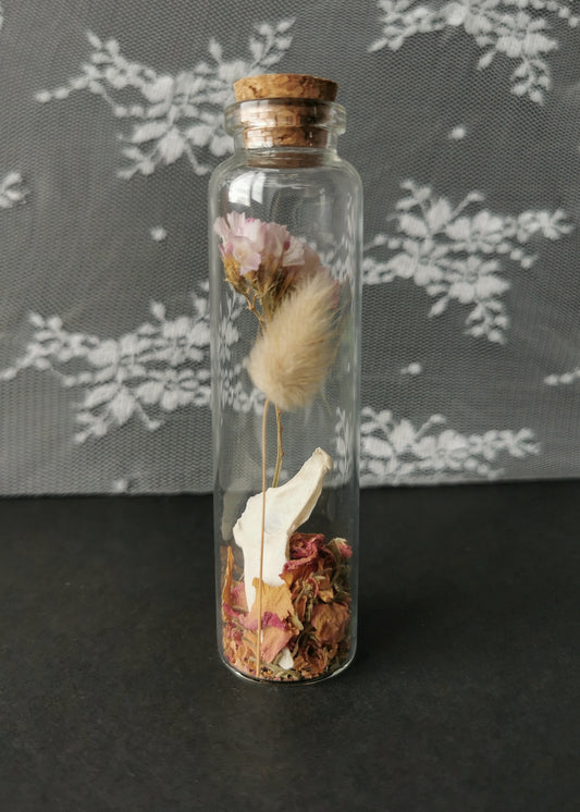 Large curiosity bottle