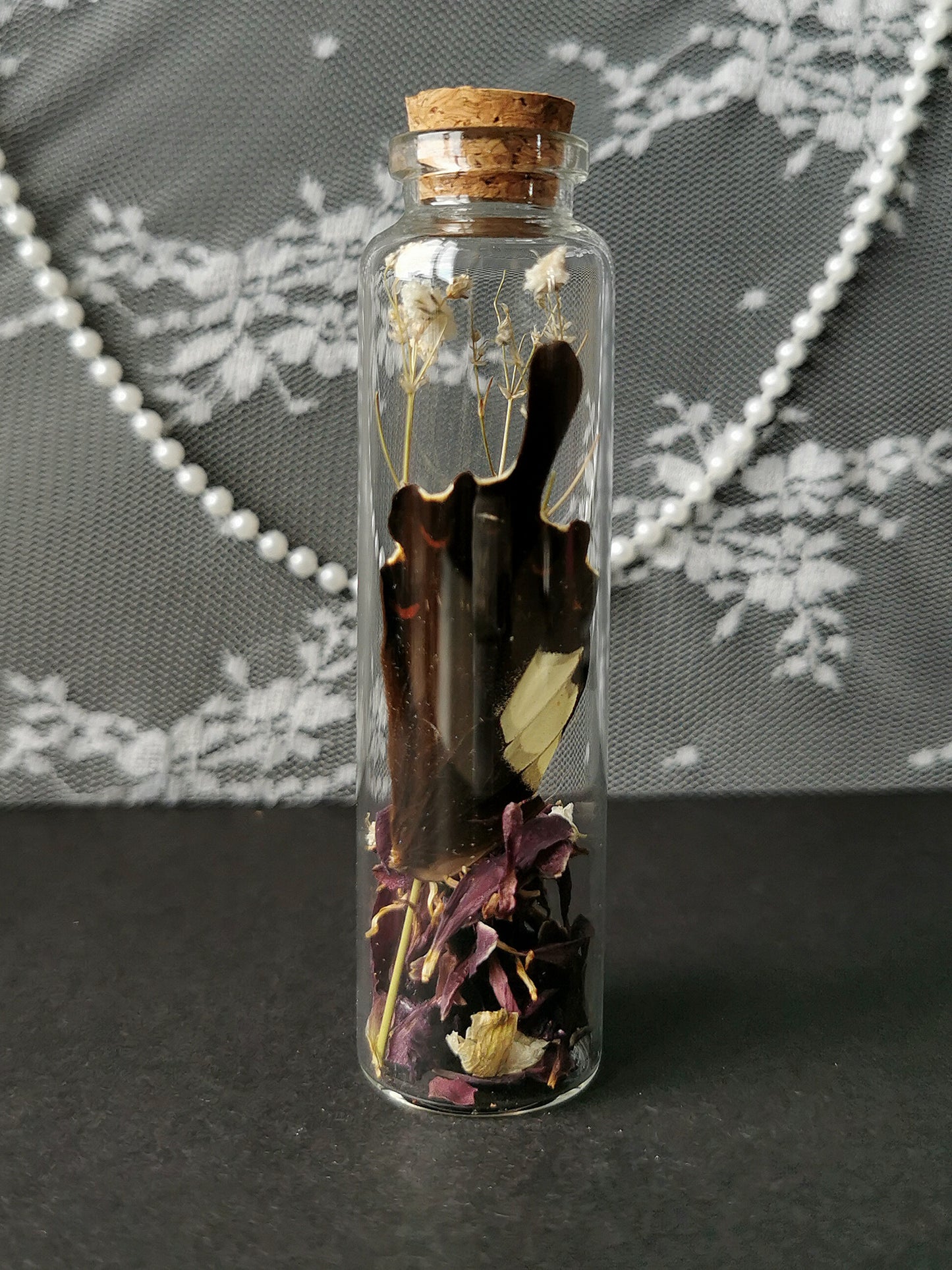 Large curiosity bottle