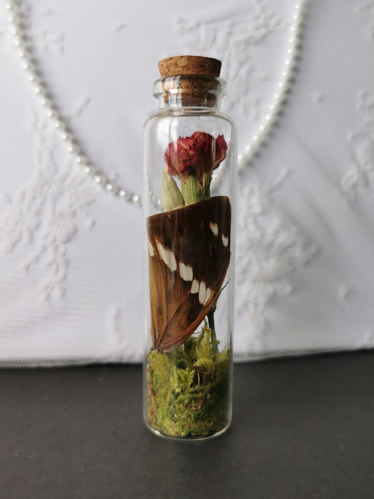 Curiosity bottle set