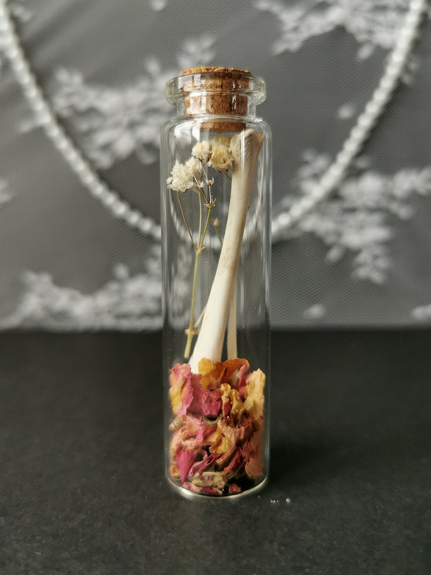 Small curiosity bottle