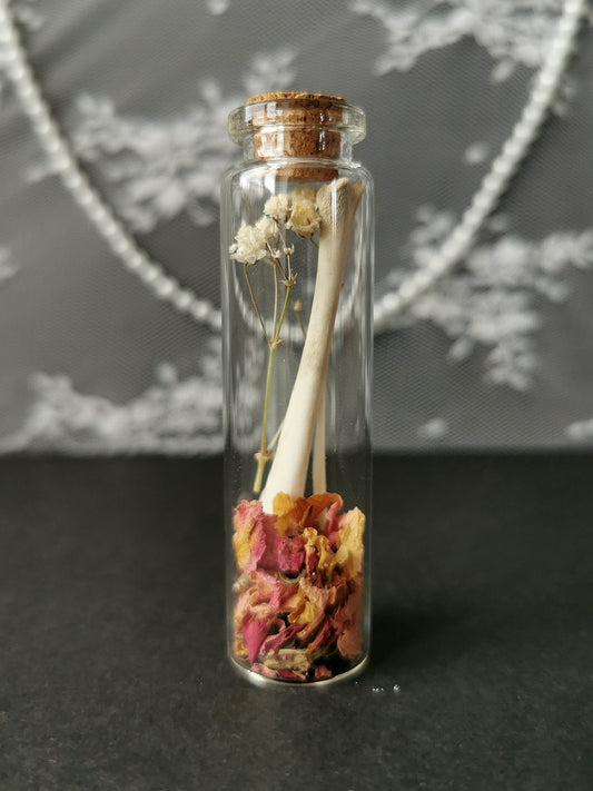 Small curiosity bottle