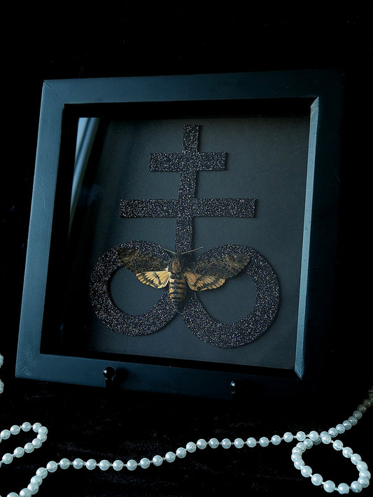 Death's Head Hawk Moth frame with gothic glitter Leviathon cross