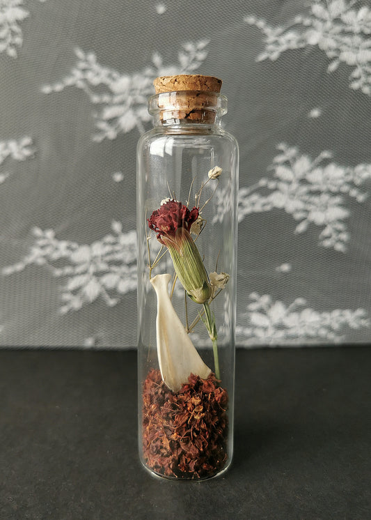 Large curiosity bottle