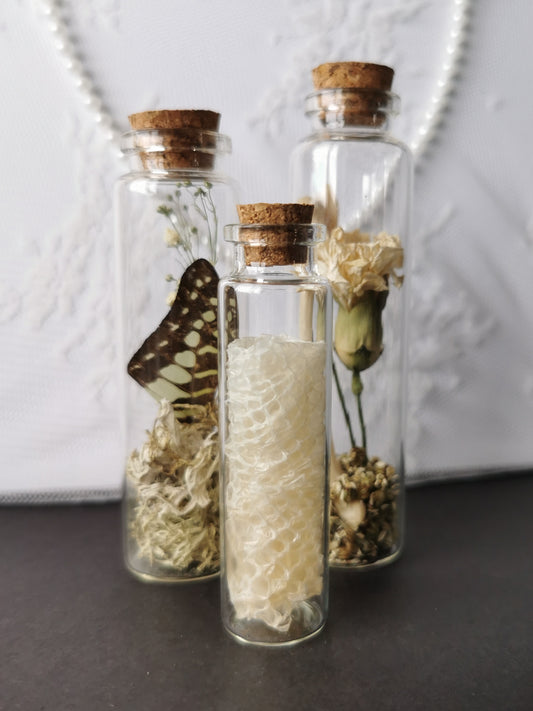 Curiosity bottle set