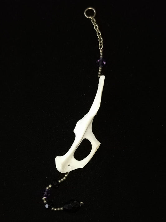 Rabbit pelvis suncatcher